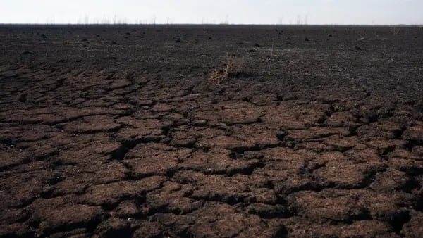 Fenómeno La Niña causa estragos en cultivos en campos clave de Argentina y Brasildfd