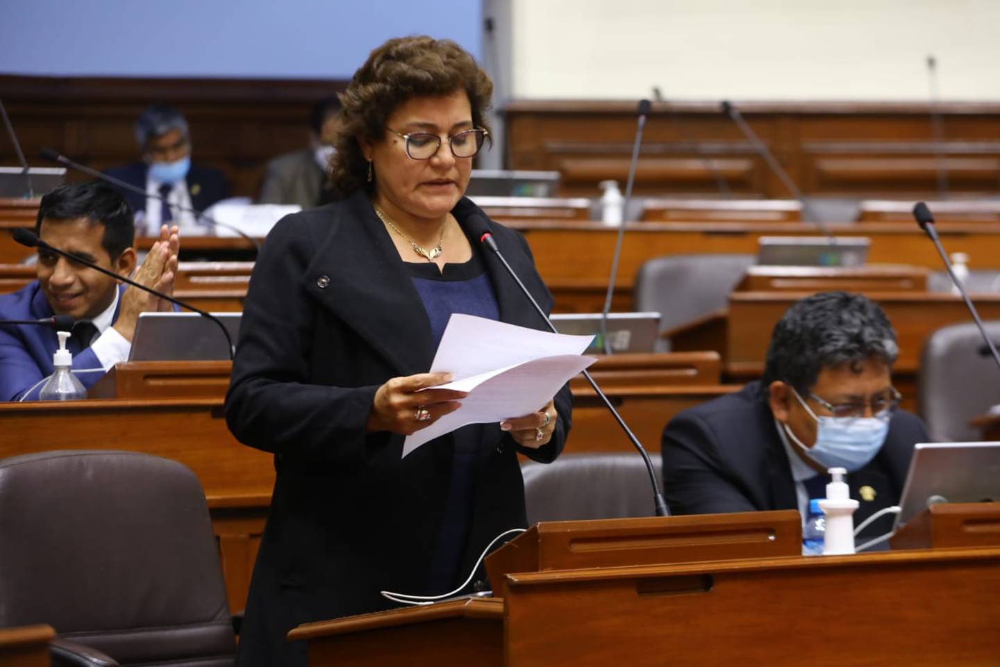 Presidenta de la Comisión de Economía, Silvia Monteza.dfd