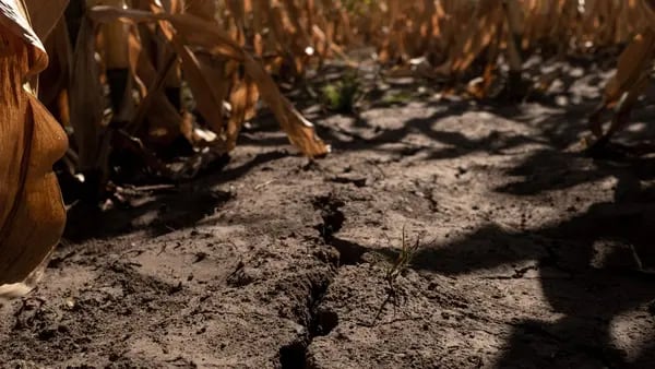 La sequía amenaza otra vez una temporada clave de siembra en Argentina dfd
