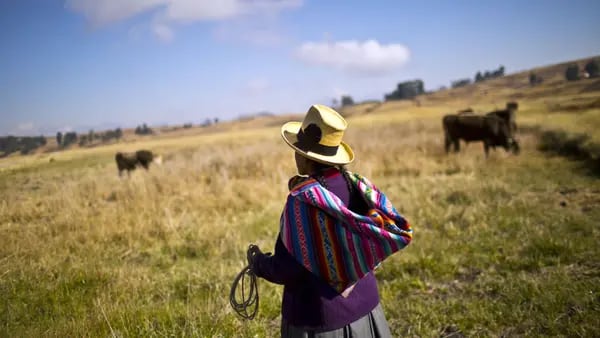 Producción agropecuaria de Perú sufre su mayor caída desde 1992: ¿a qué se debe?dfd