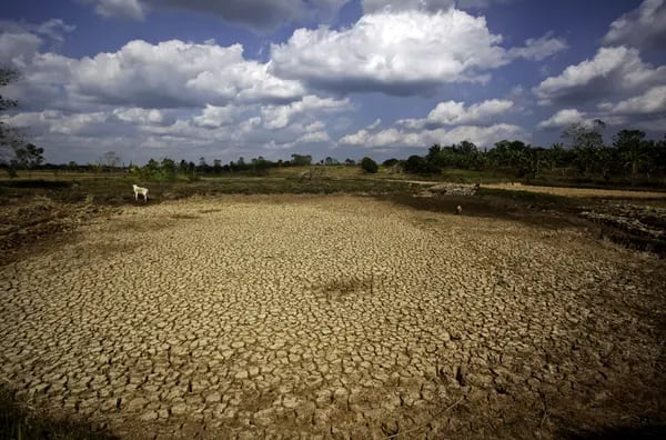 Un estanque se seca debido a una sequía inducida por El Niño, en Jones, provincia de Isabela, Filipinas, 25 de febrero de 2010.