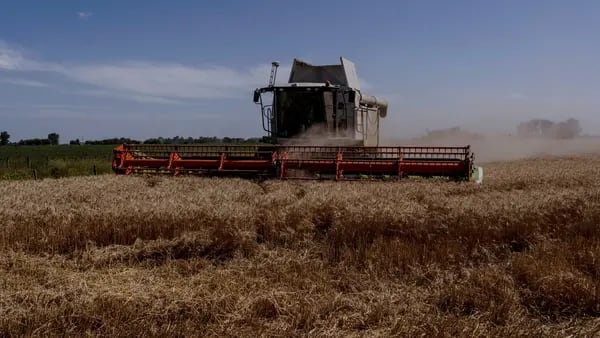 Exportaciones del campo argentino: del récord histórico en 2022 al golpe de la sequíadfd