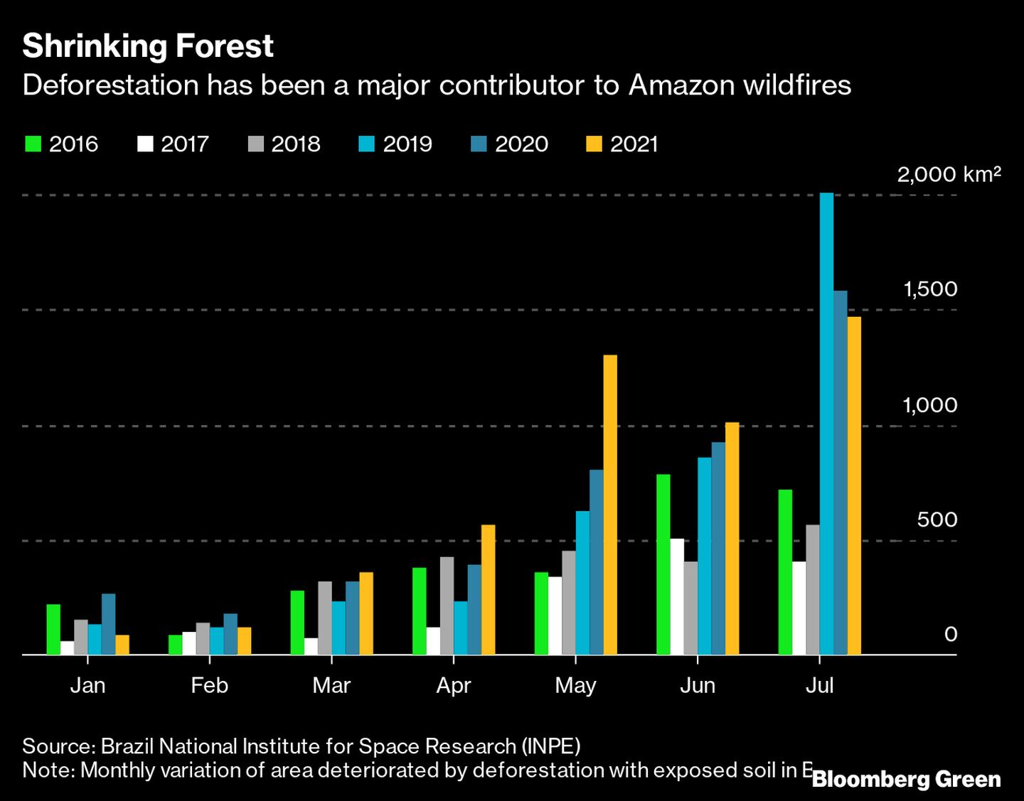 La deforestación ha sido una de las principales causas de los incendios forestales en el Amazonas. dfd