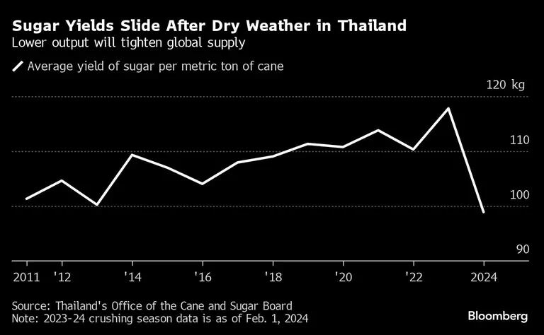 Produção de açúcar cai na Tailândiadfd