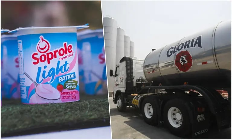 Gloria es el principal jugador del mercado lácteo del Perú y maneja alrededor de un 80% de participación local en este sector. Soprole también cuenta con una importante participación en el mercado de Chile.dfd