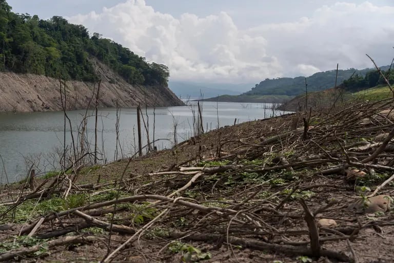 Los embalses afectados por la sequía se acercan a niveles críticos y amenazan la producción eléctrica colombianadfd