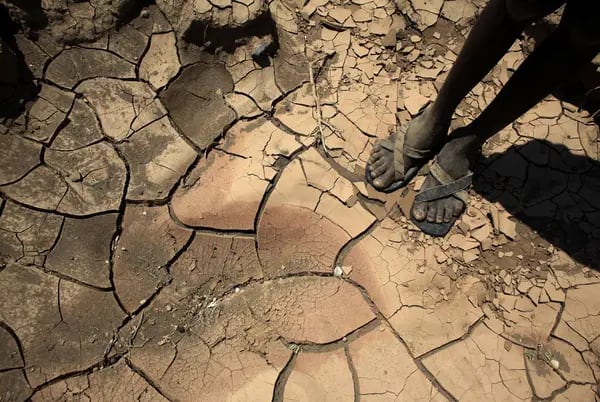El lecho de un río seco en Kenia.