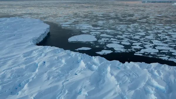 Alarma por disminución récord de hielo marino en la Antártida dfd