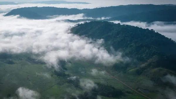 Brasil obtiene US$148 millones en fondos para proteger la selva amazónicadfd