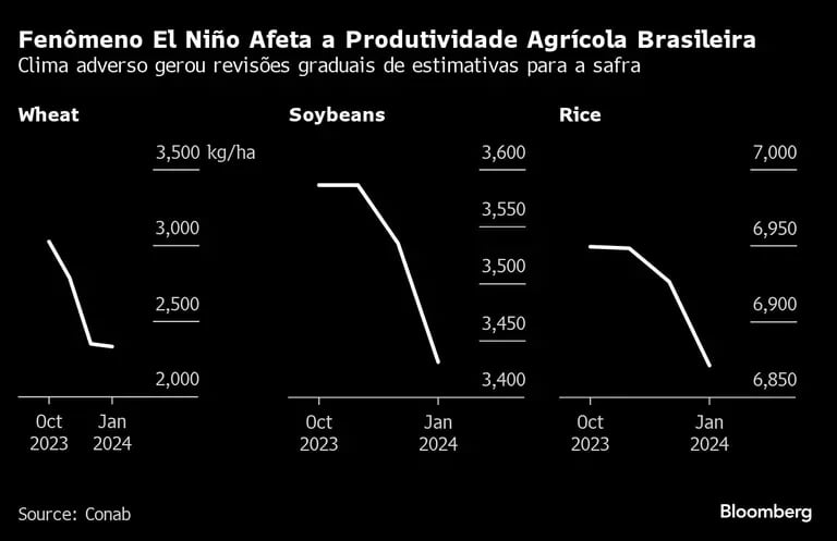 El Niño afeta a produtividade agrícola brasileiradfd