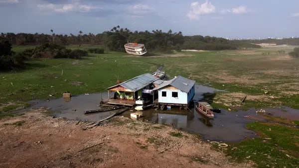 Sequía histórica empeorará en la Amazonia brasileña, dice un científicodfd