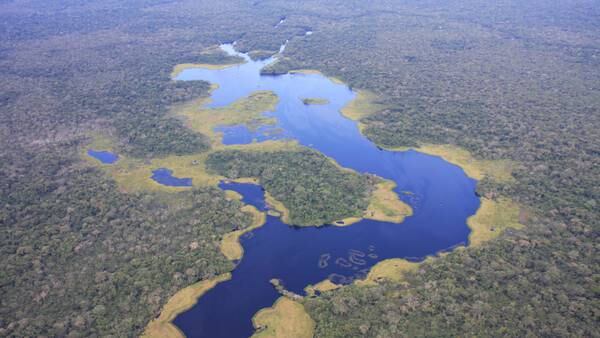 Monetizar la conservación ambiental, la nueva gran apuesta de Ecuadordfd