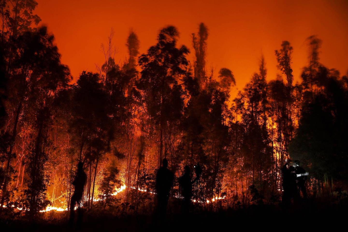 Un incendio forestal en Purén, región de la Araucanía, Chile, el 4 de febrero de 2023. Fotógrafo: Javier Torres/AFP/Getty Images
