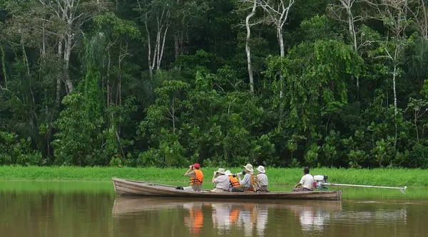 Un ecolodge en el Amazonas colombiano que se dedica a la conservación de la selva, a salvaguardar las tradiciones indígenas y a mover la economía de las comunidades locales.