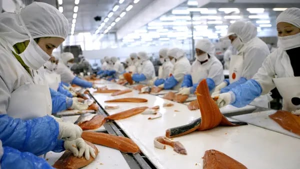 Disputa por el salmón chileno alerta a las empresas chinas en el extranjerodfd