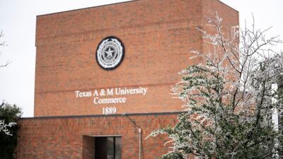 Universidad texana en el ojo de la tormenta por frenar políticas inclusivasdfd