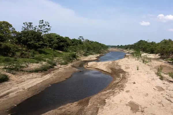 Seca em afluente do rio Amazonas, perto de Manaus