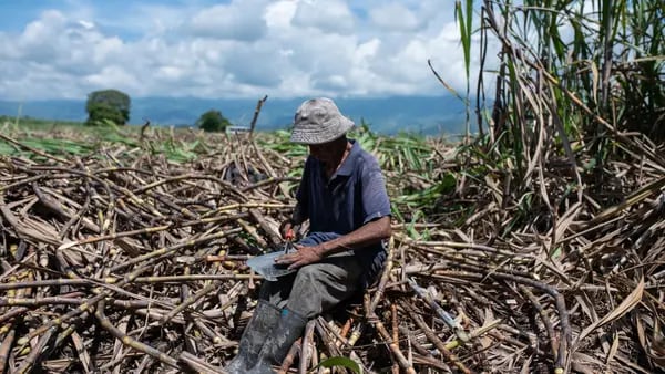 El Niño tiene en vilo a economías latinoamericanas: ¿cómo las puede afectar?dfd