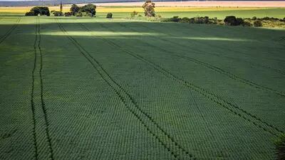 Entrega de fertilizantes nas fazendas pode atrasar devido a problemas logísticos e aumento da demanda no hemisfério norte