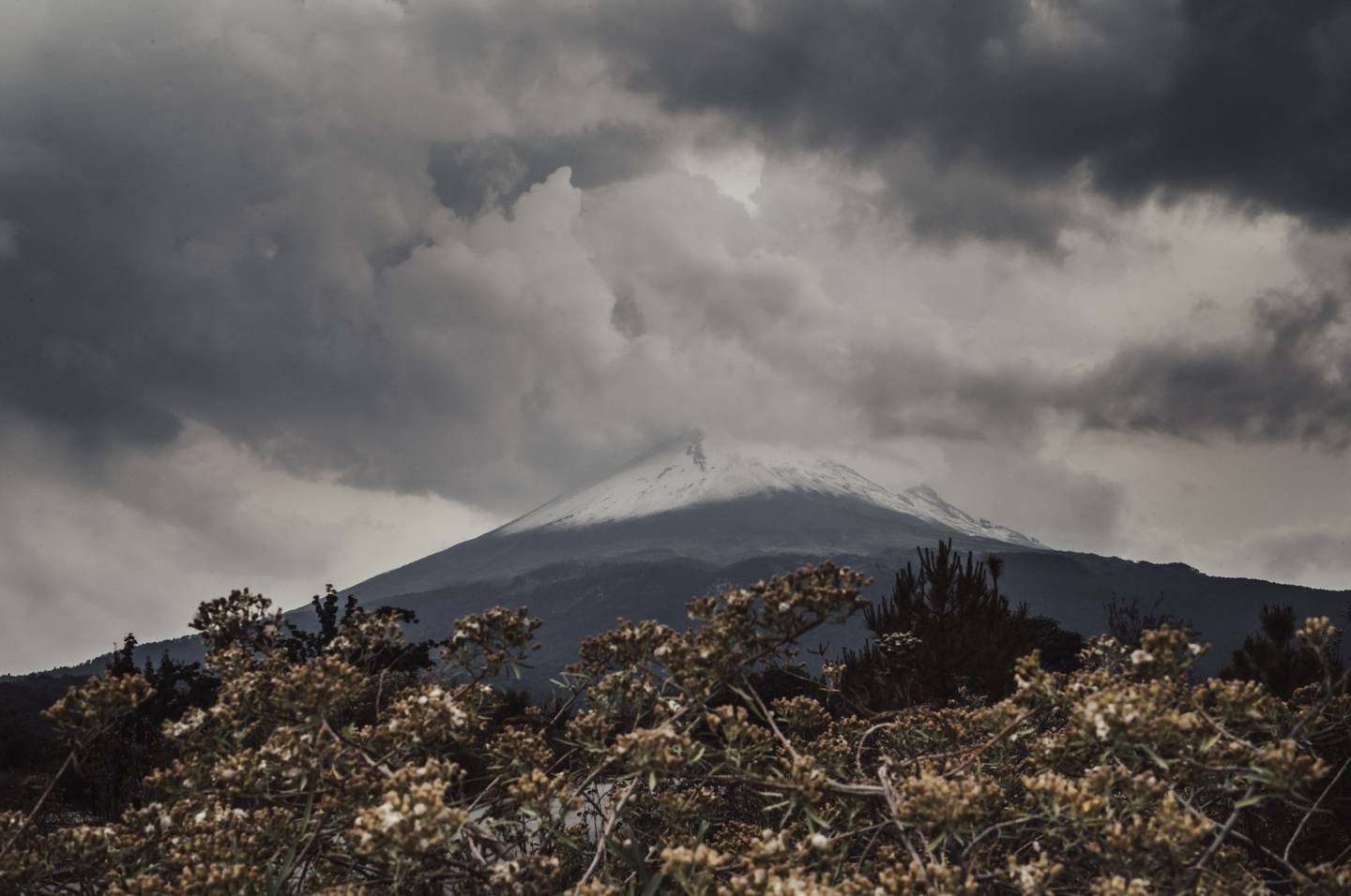La alerta del Volcán Popocatépetl se elevó tras el aumento de actividad. La autoridad ordenó hacer verificaciones en las rutas de evacuación y refugios en caso de emergencia, dijo el domingo el titular de la autoridad civil del país.