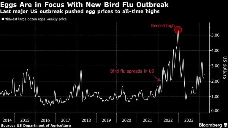 Los huevos están en el foco de atención con el nuevo brote de gripe aviar | El último gran brote en EE.UU. llevó los precios del huevo a máximos históricosdfd