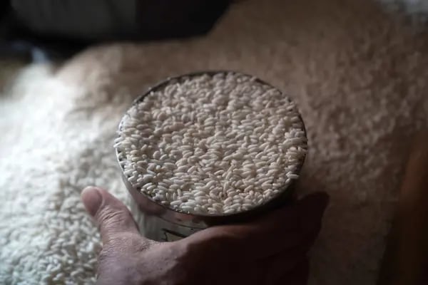 Ecuador venderá arroz a Colombia en dos tramos en 2022.