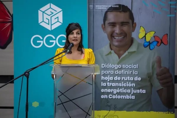 Ministra de Minas y Energía, Irene Vélez