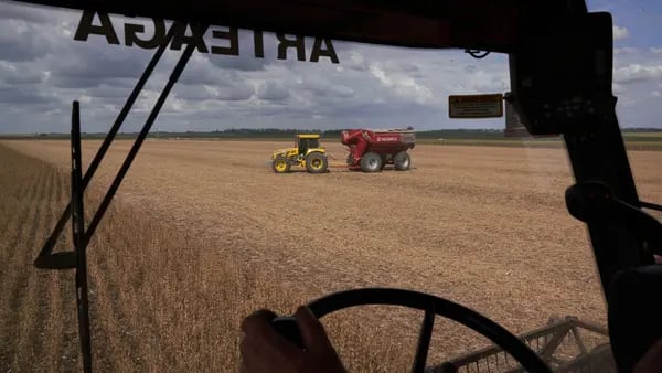 La empresa argentina de biotech espera el auge de la agricultura con Mileidfd