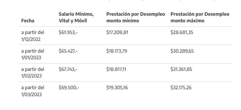 Salario mínimo vital y móvil en Argentinadfd
