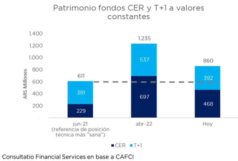 Patrimonio fondos CER y T+1 a valores constantesdfd