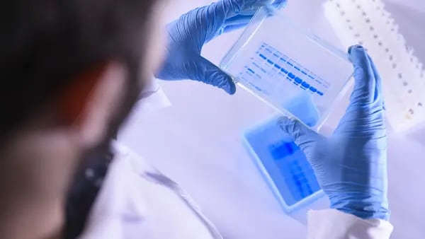 La caída de la biotecnología está vaciando los laboratoriosdfd