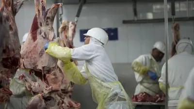 A carne vendida ao consumidor passa por controles sanitários