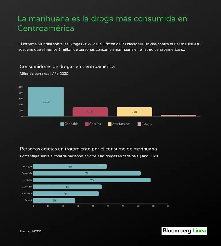 Consumidores de marihuana y drogas en Centroamérica, según un estudio de UNODC publicado en 2022.dfd