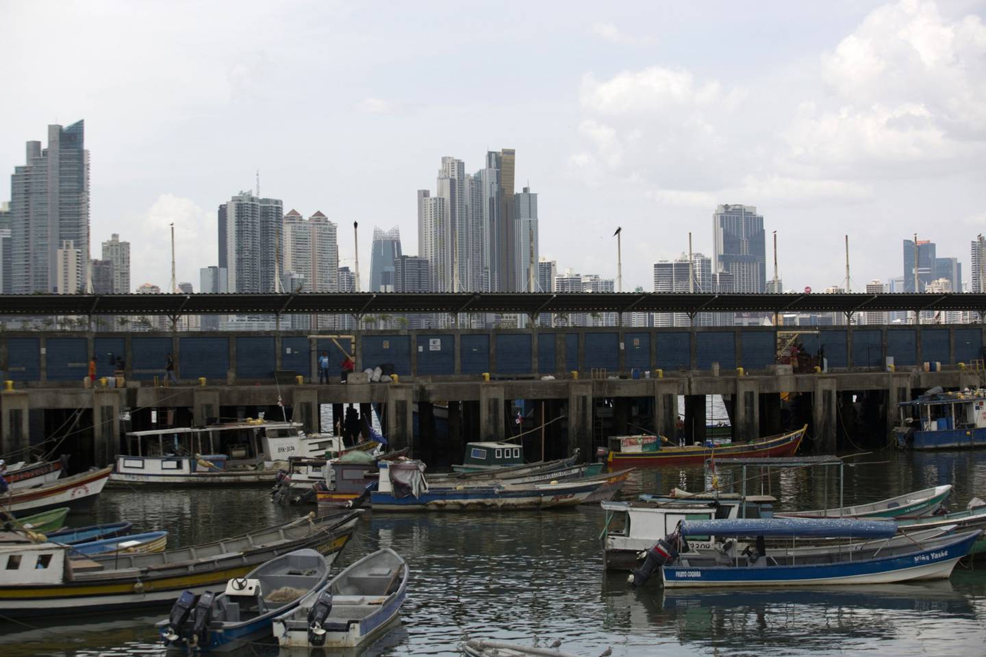 La Unión Europea es el segundo mercado para las exportaciones de pescado de Panamá.