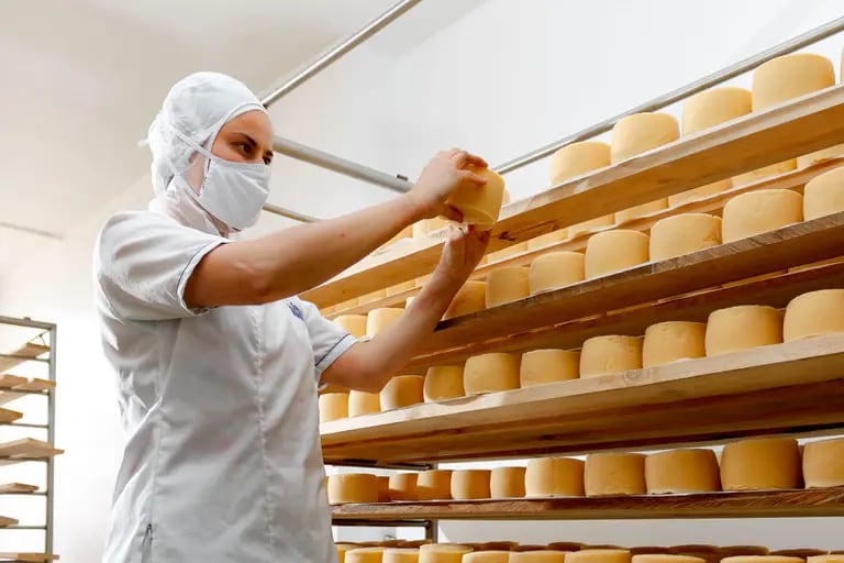 Una empleada revisa un queso Paipa en una planta de produccióndfd