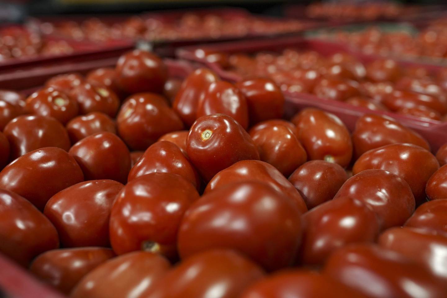 Asda está limitando las compras de tomates, pimientos, pepinos, lechugas, bolsas de ensalada, brécol, coliflor y frambuesas.