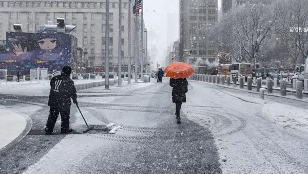Una tormenta de nieve en Nueva York deja cientos de vuelos canceladosdfd