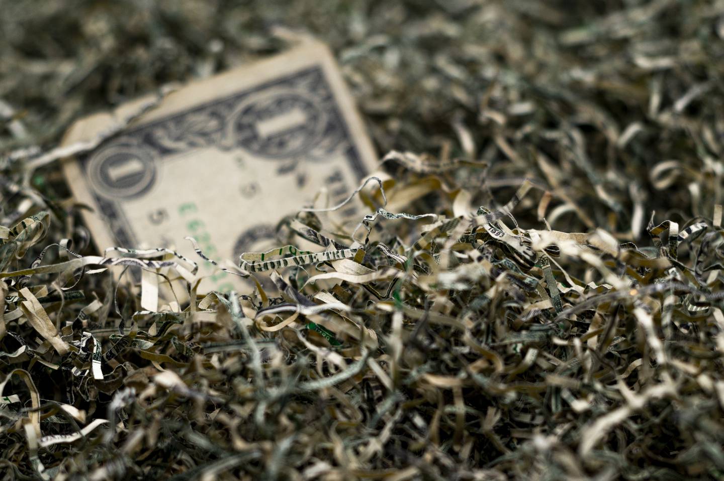 Un billete de un dólar. Foto: Bloomberg.