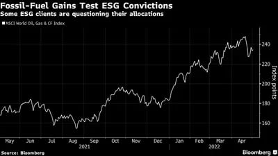   Investidores vêm questionando suas alocações em ESG