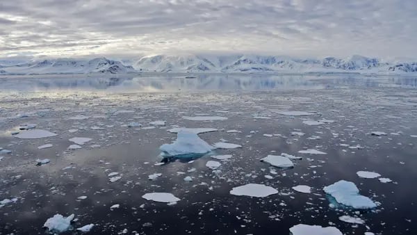 La ola de calor en la Antártida provoca un alarmante salto de temperaturadfd