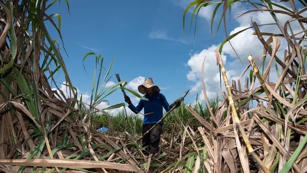 ¿Hasta cuándo va a durar el fenómeno de El Niño y la sequía en Colombia este 2024?dfd