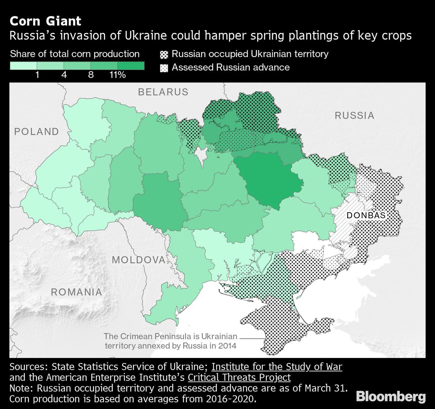 Cultivo de maíz en Ucraniadfd