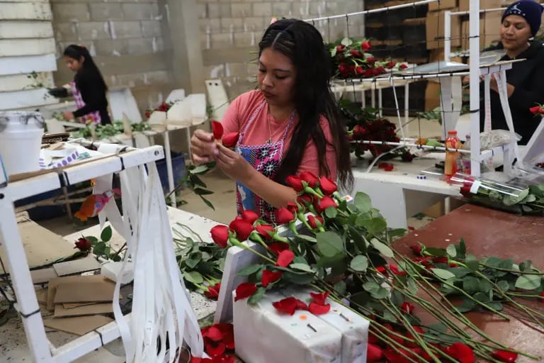 Guatemala is also a major flower exporter. dfd
