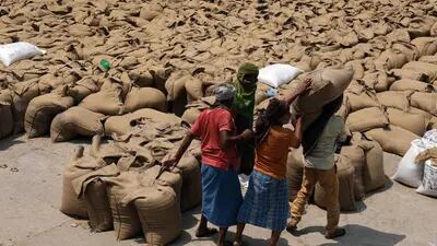 Índia vem preferindo manter produção de grãos internamente para atender à demanda nacional
