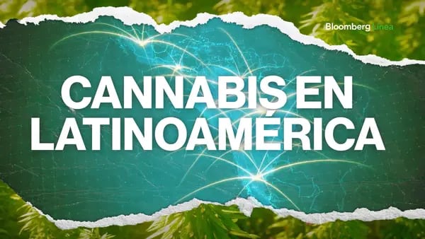 ¿Cuál es el futuro de la industria del cannabis en Latinoamérica?