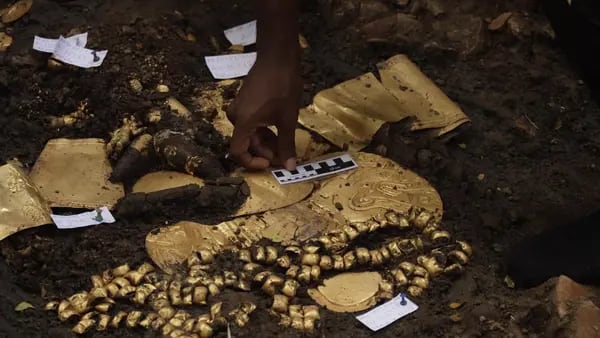 Foto: Tesoro repleto de oro hallado en una tumba de casi 1300 años en Panamá este 2024dfd