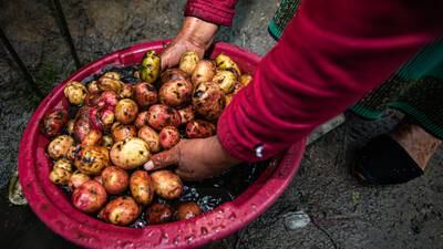 El trabajo informal es el gran problema laboral del Ecuador y pesa más en el campodfd