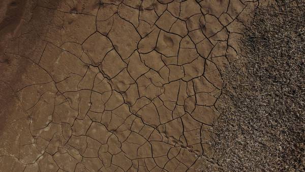 Crisis climática en Latam: el efecto dominó de la sequía y el estrés hídrico dfd