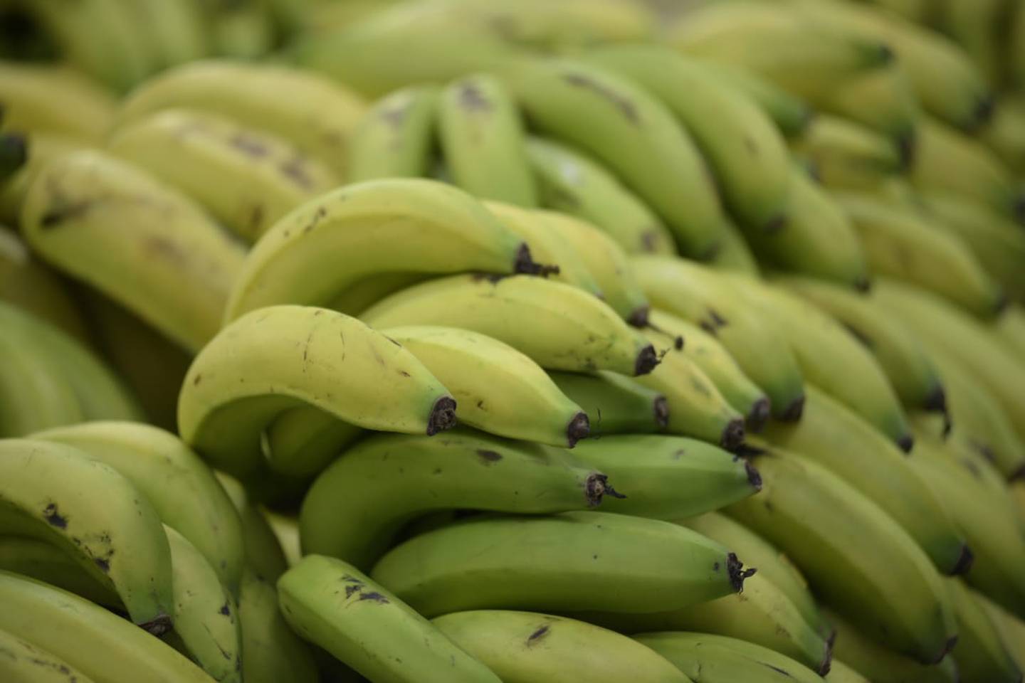 Banano colombiano