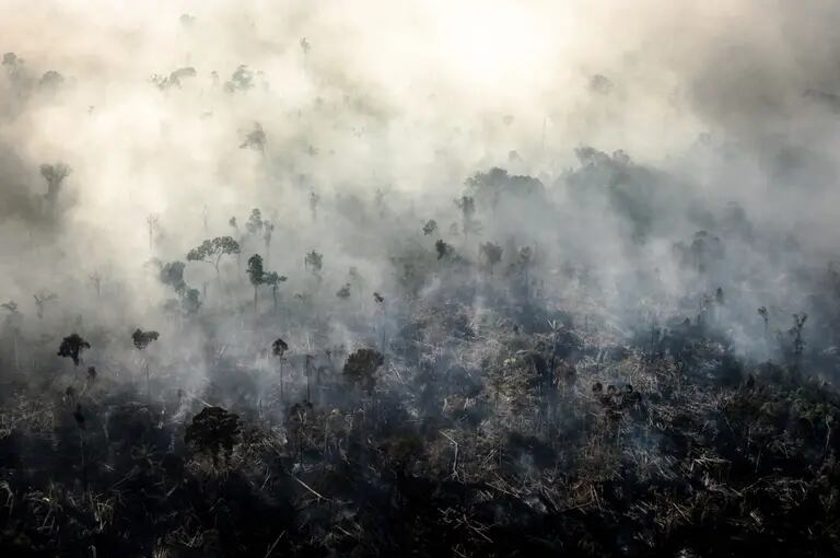 Fumaça sobe com incêndio na Floresta Amazônica nesta fotografia aérea tirada acima da região de Candeias do Jamari em Porto Velho, estado de Rondôniadfd